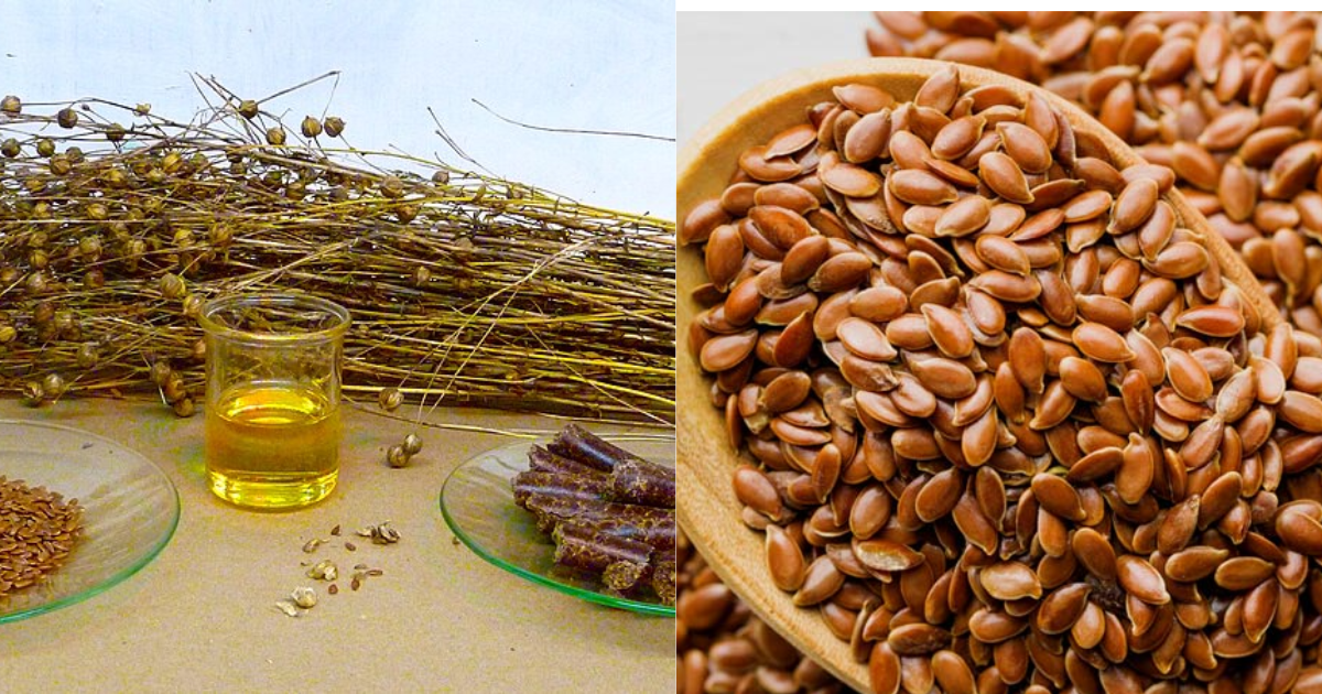 The Incredible Health Benefits of Flaxseeds: A Nutritional Powerhouse