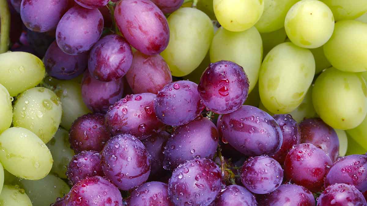 "The Role of Grapes in Supporting Liver and Pancreas Health"